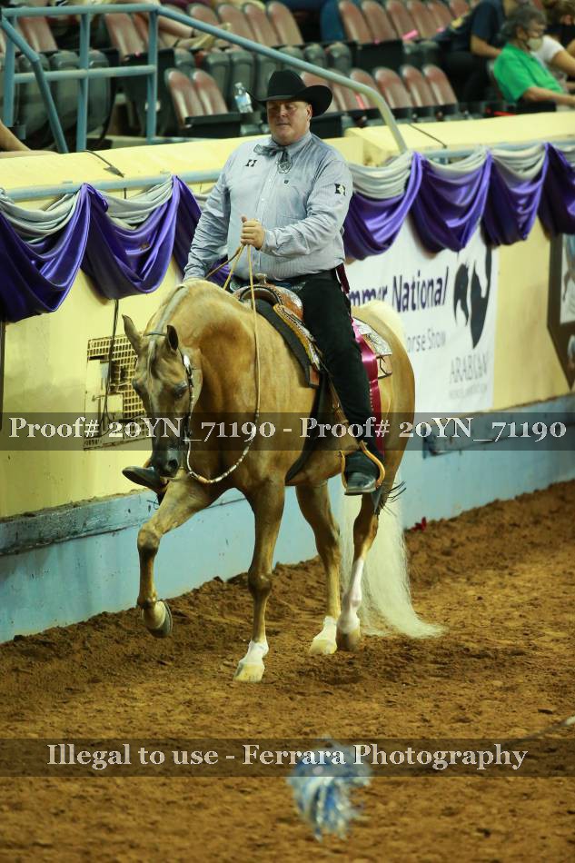 Proof 20YN_71190