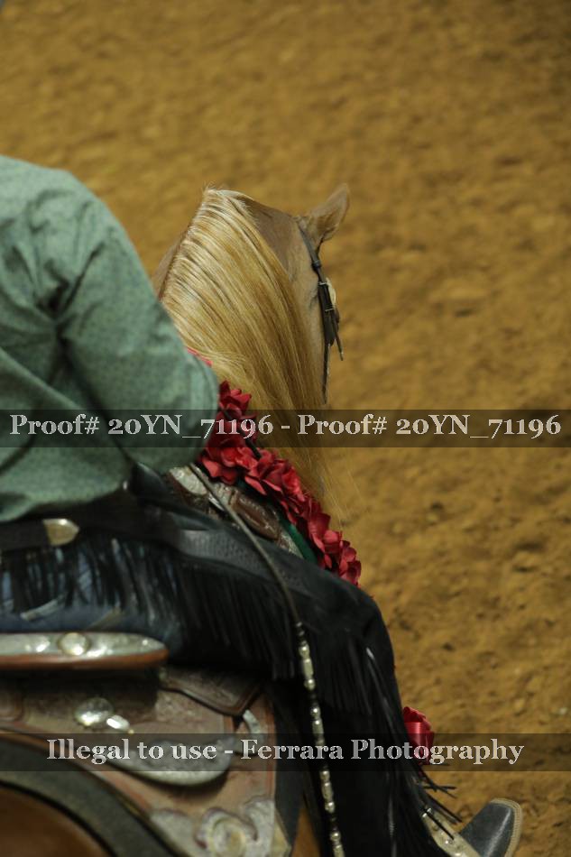 Proof 20YN_71196
