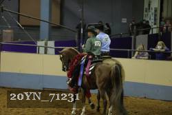 20YN_71231 proof