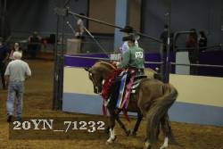 20YN_71232 proof