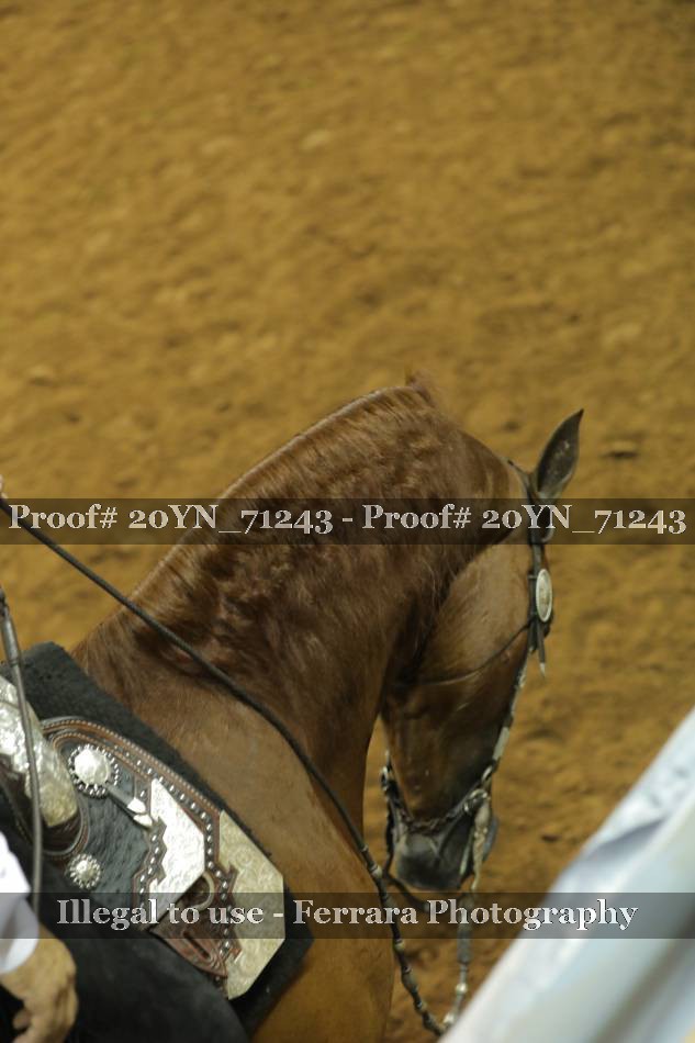 Proof 20YN_71243