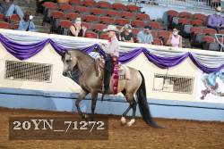 20YN_71272 proof