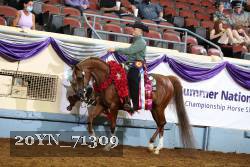20YN_71309 proof