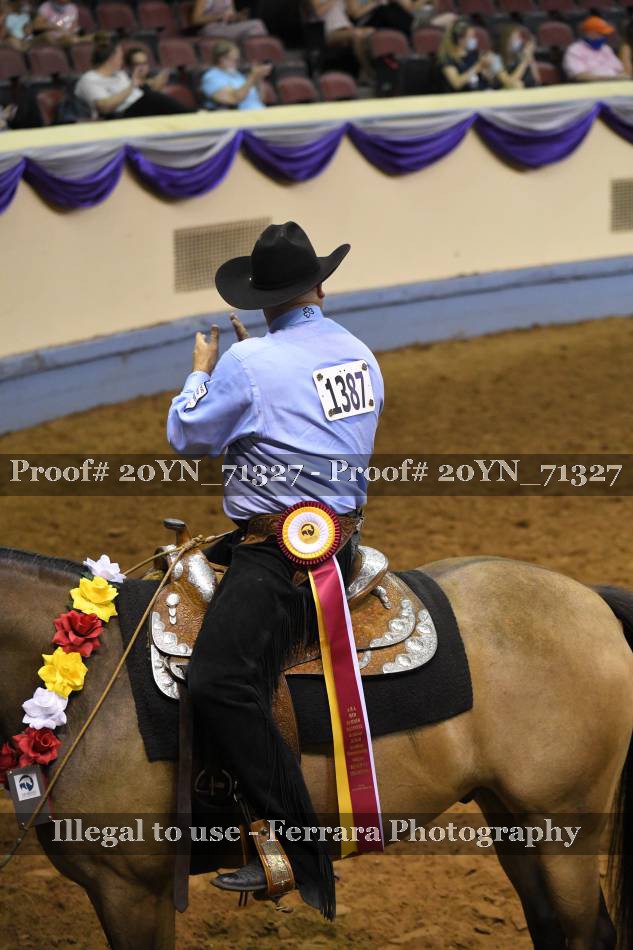 Proof 20YN_71327