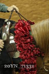 20YN_71331 proof