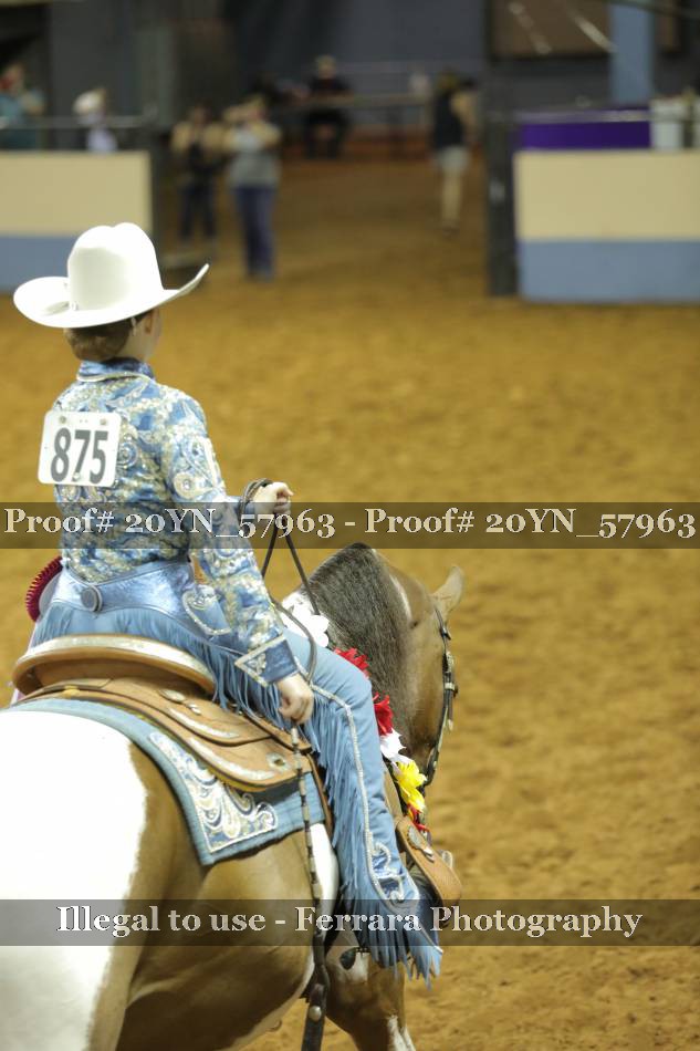 Proof 20YN_57963