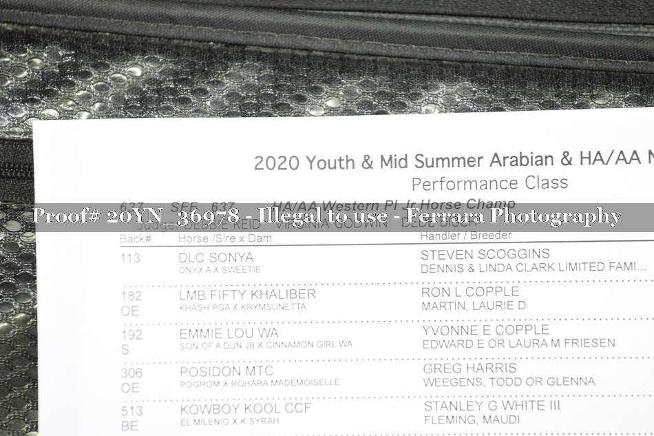 Proof 20YN_36978