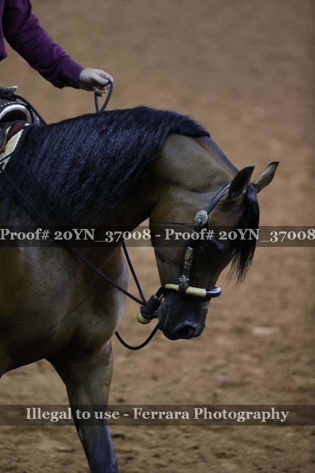 Proof 20YN_37008