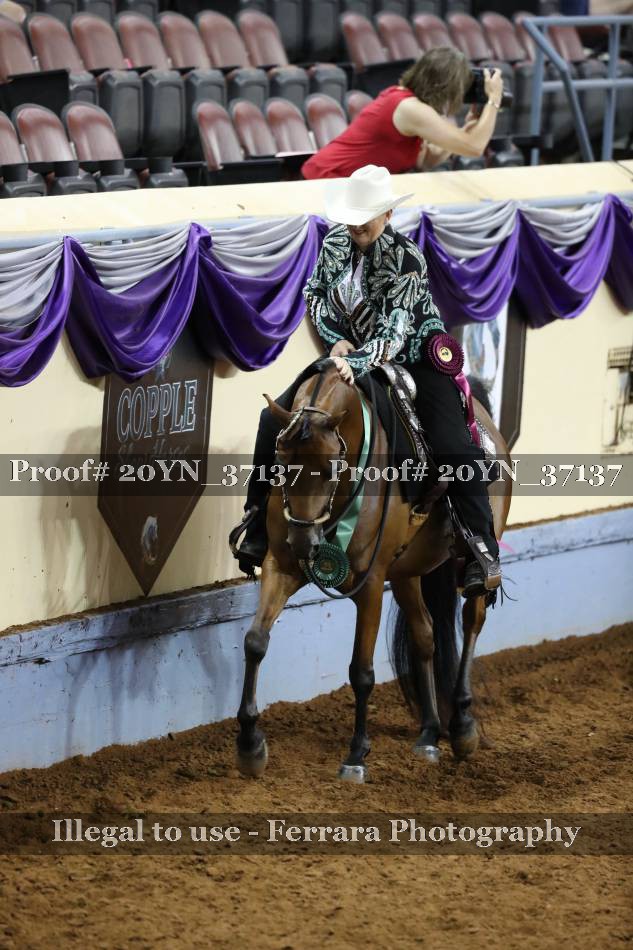 Proof 20YN_37137
