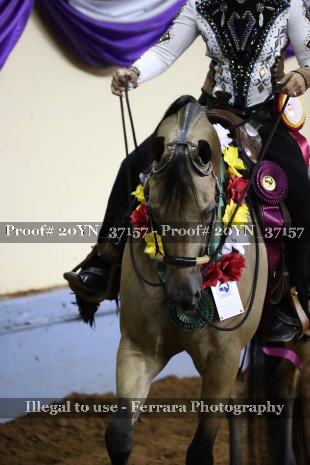 Proof 20YN_37157