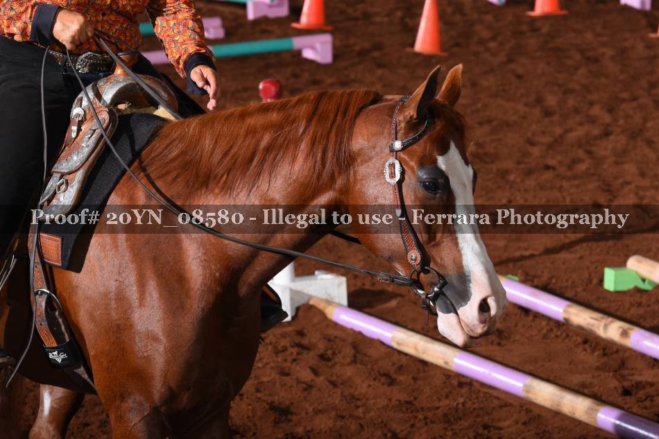 Proof 20YN_08580