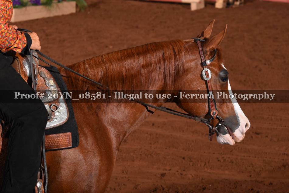 Proof 20YN_08581