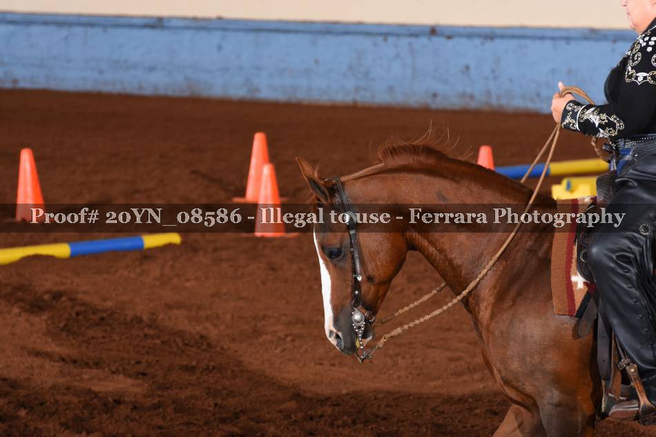Proof 20YN_08586