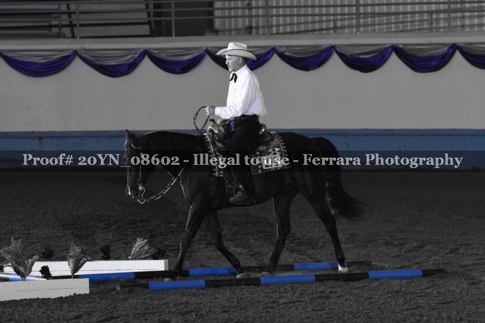 Proof 20YN_08602