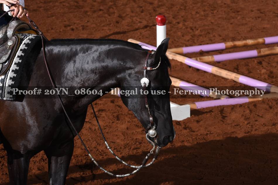 Proof 20YN_08604
