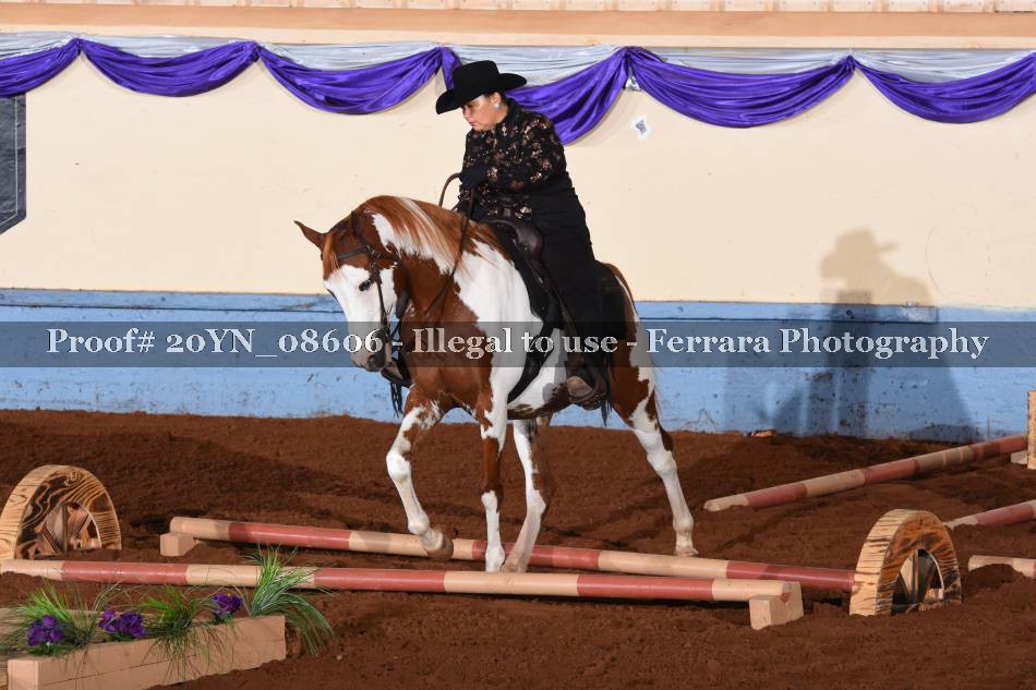 Proof 20YN_08606
