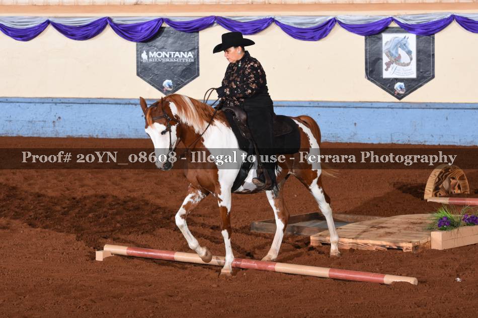Proof 20YN_08608