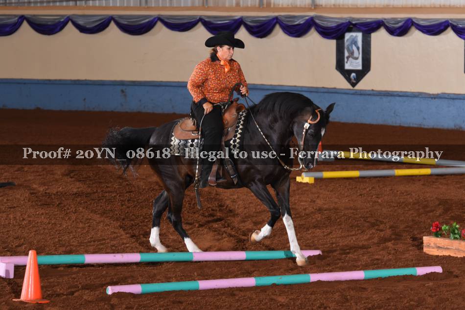 Proof 20YN_08618