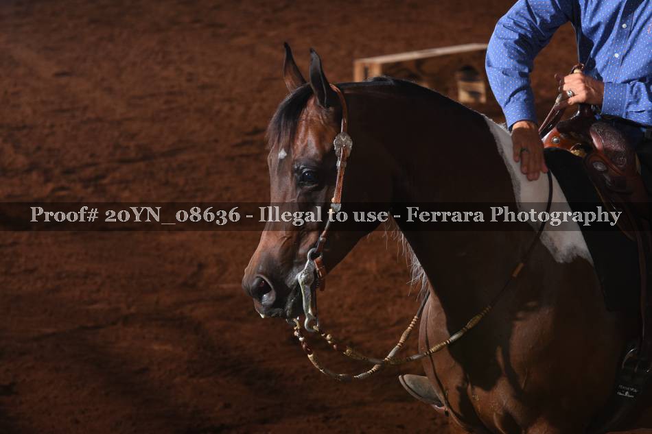 Proof 20YN_08636