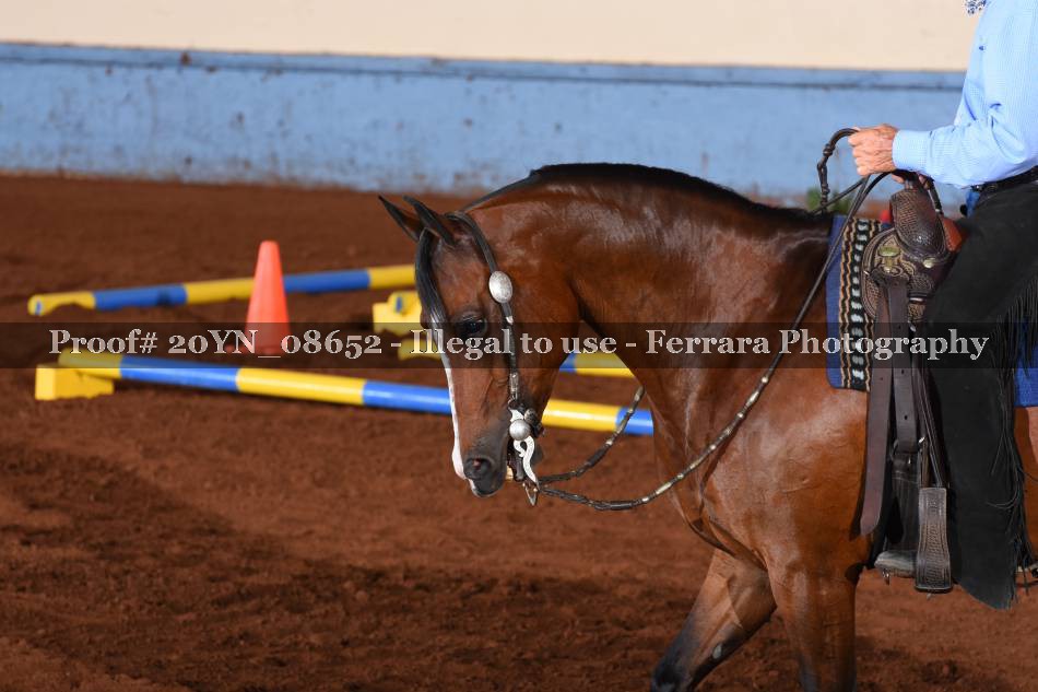 Proof 20YN_08652