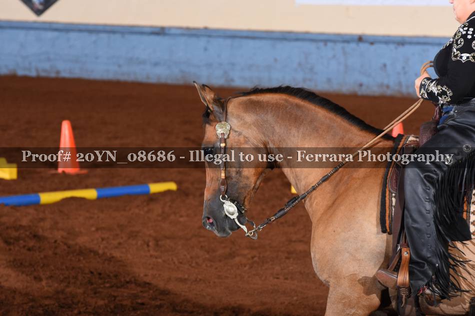 Proof 20YN_08686