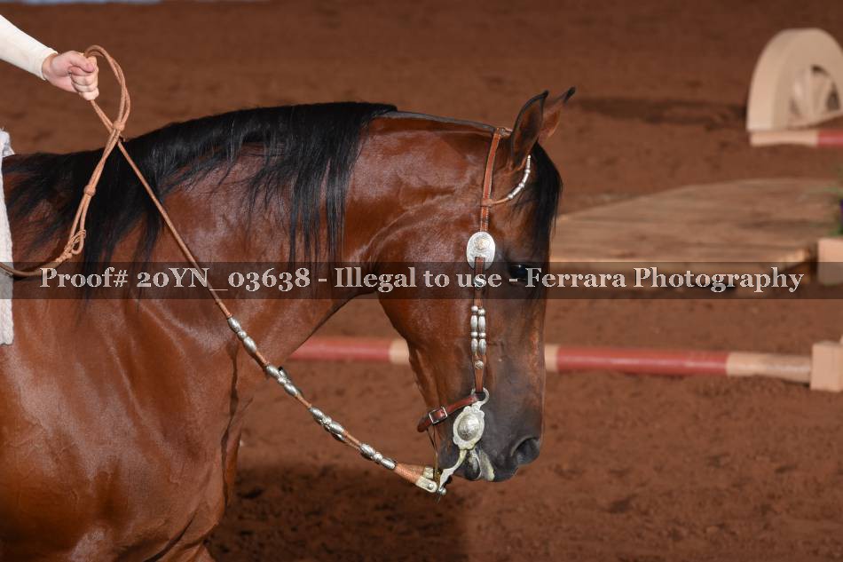Proof 20YN_03638