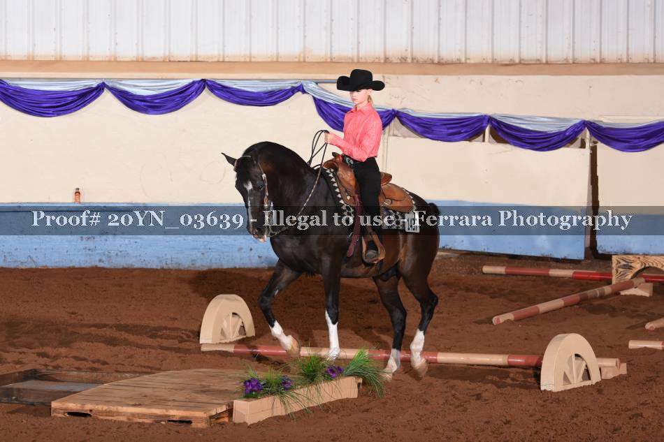 Proof 20YN_03639