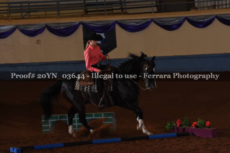 Proof 20YN_03644