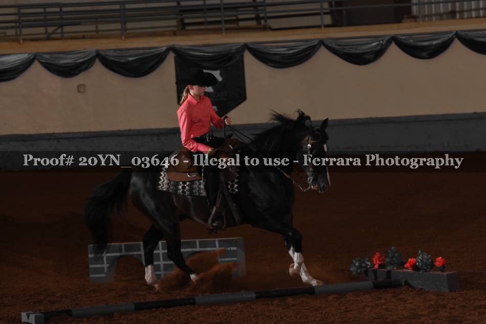 Proof 20YN_03646