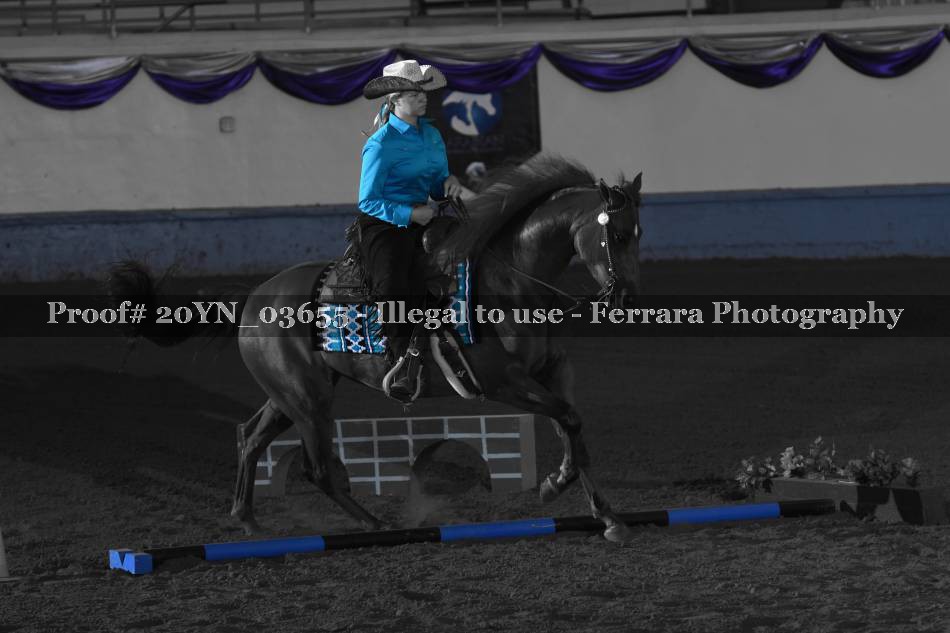 Proof 20YN_03655