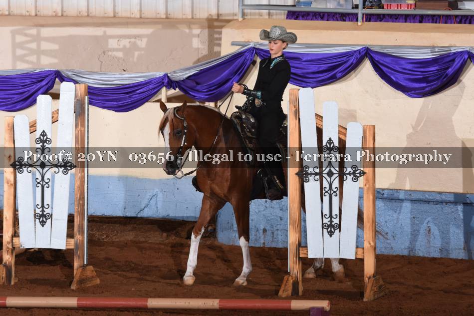 Proof 20YN_03656