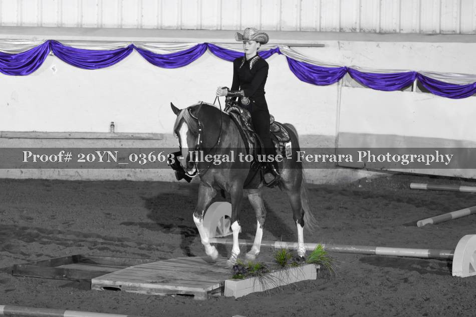 Proof 20YN_03663