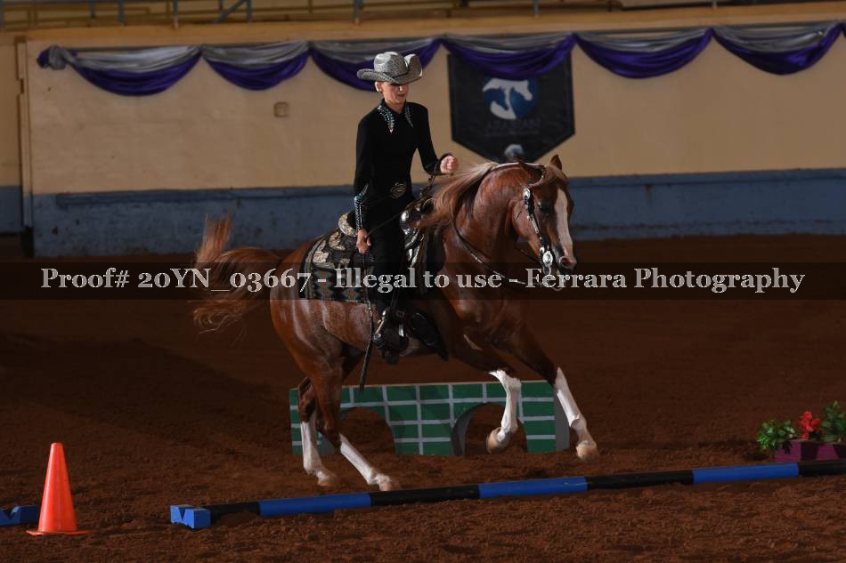Proof 20YN_03667