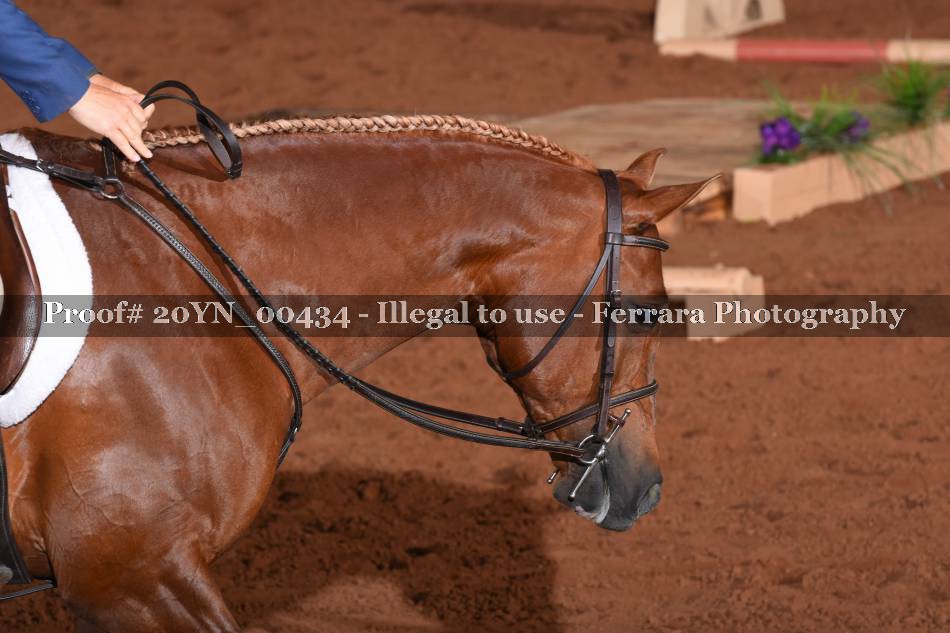 Proof 20YN_00434