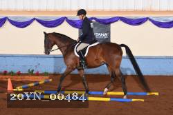 20YN_00484 proof