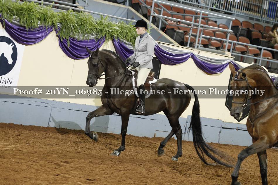Proof 20YN_06985