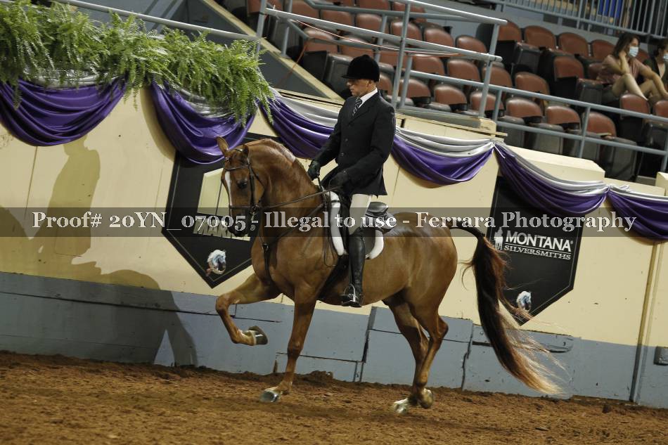 Proof 20YN_07005