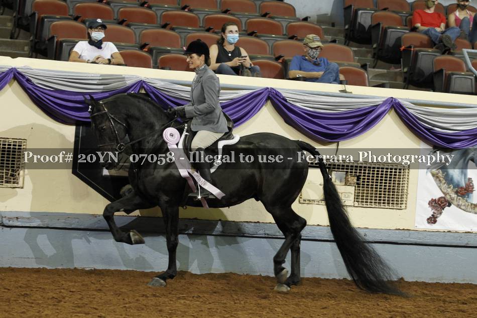 Proof 20YN_07058