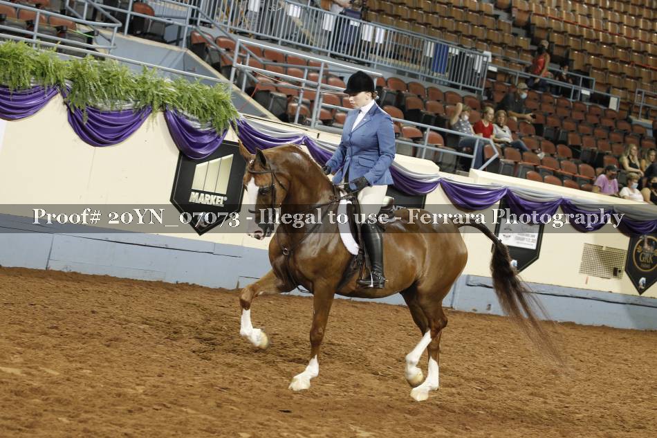 Proof 20YN_07073