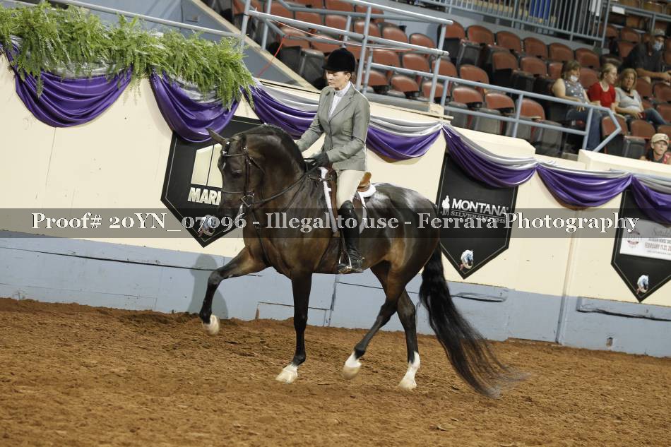 Proof 20YN_07096