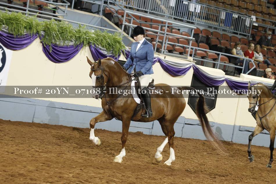 Proof 20YN_07108