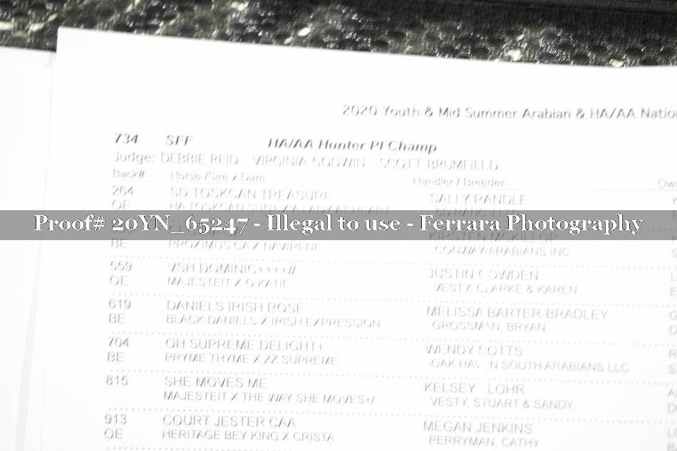 Proof 20YN_65247