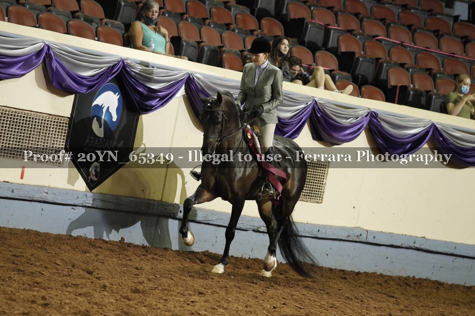 Proof 20YN_65349