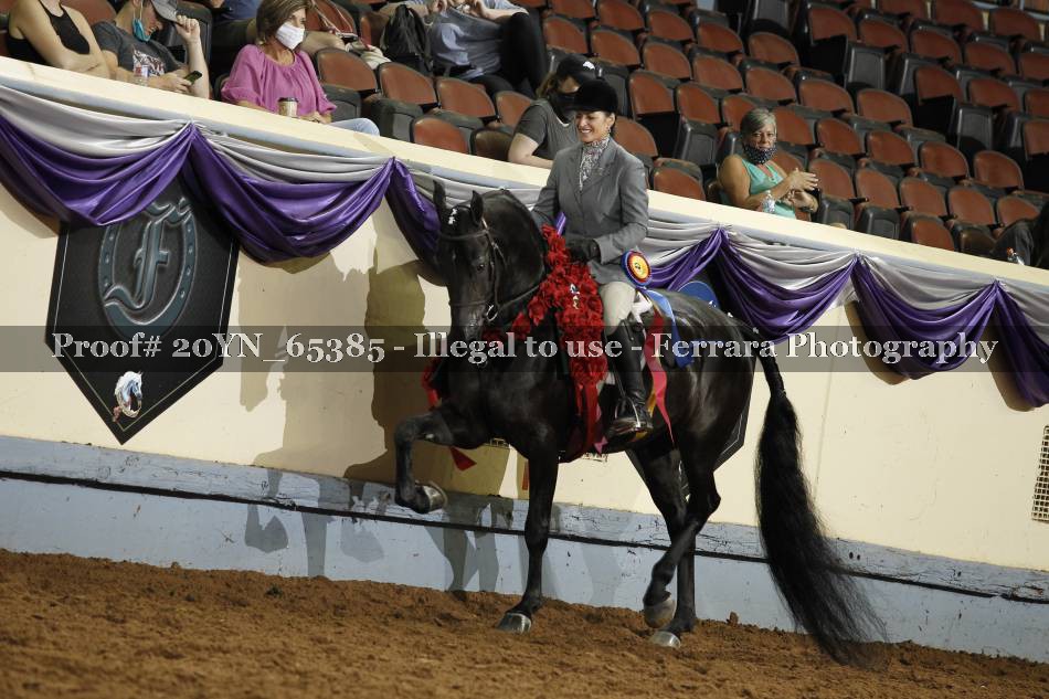 Proof 20YN_65385