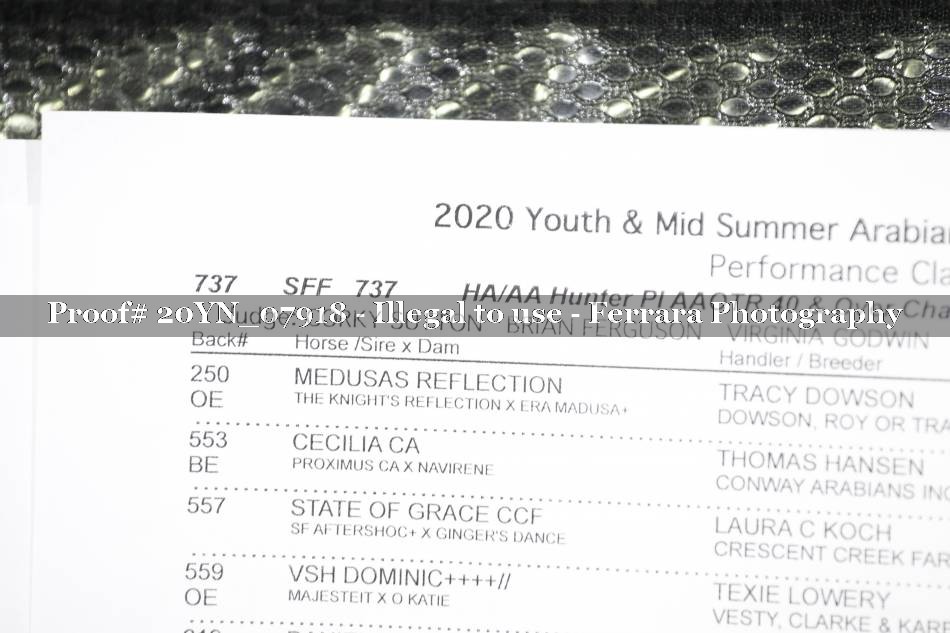 Proof 20YN_07918