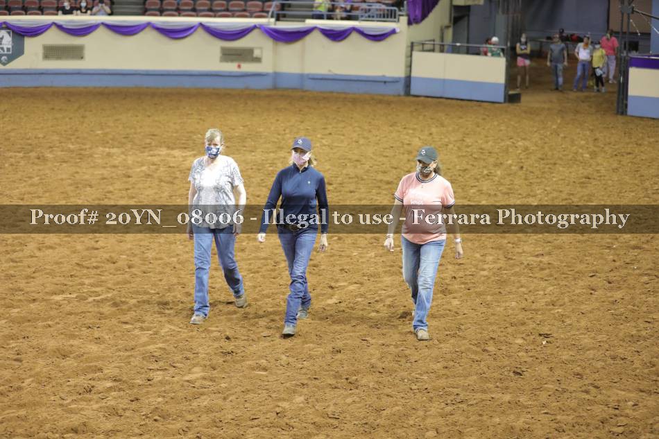 Proof 20YN_08006