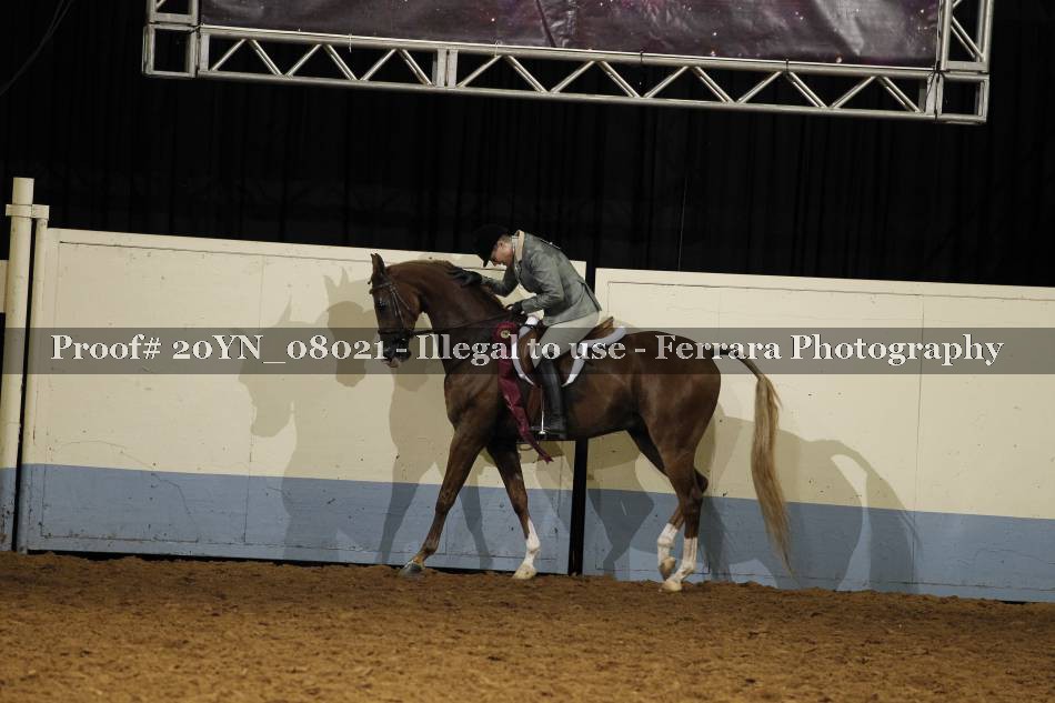 Proof 20YN_08021