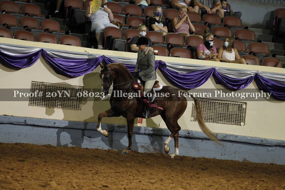 Proof 20YN_08023