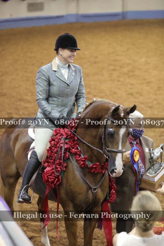 Proof 20YN_08037
