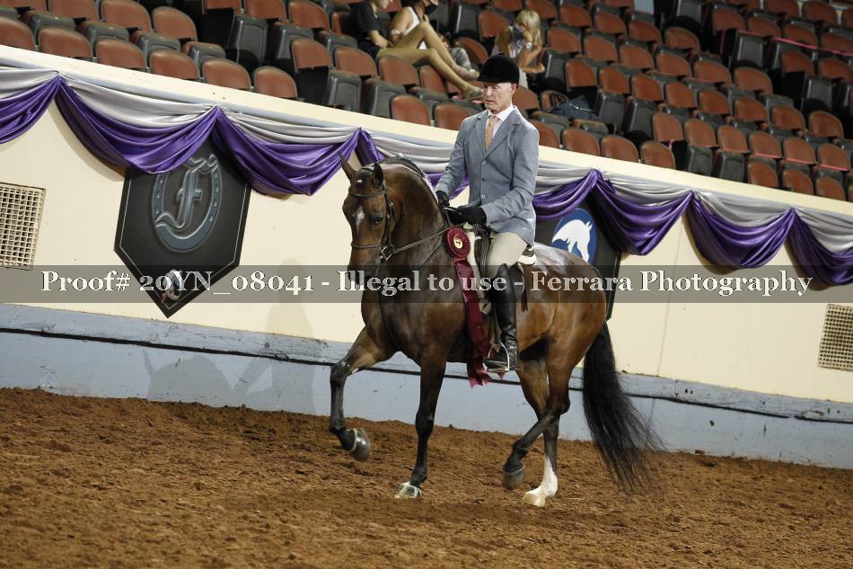 Proof 20YN_08041